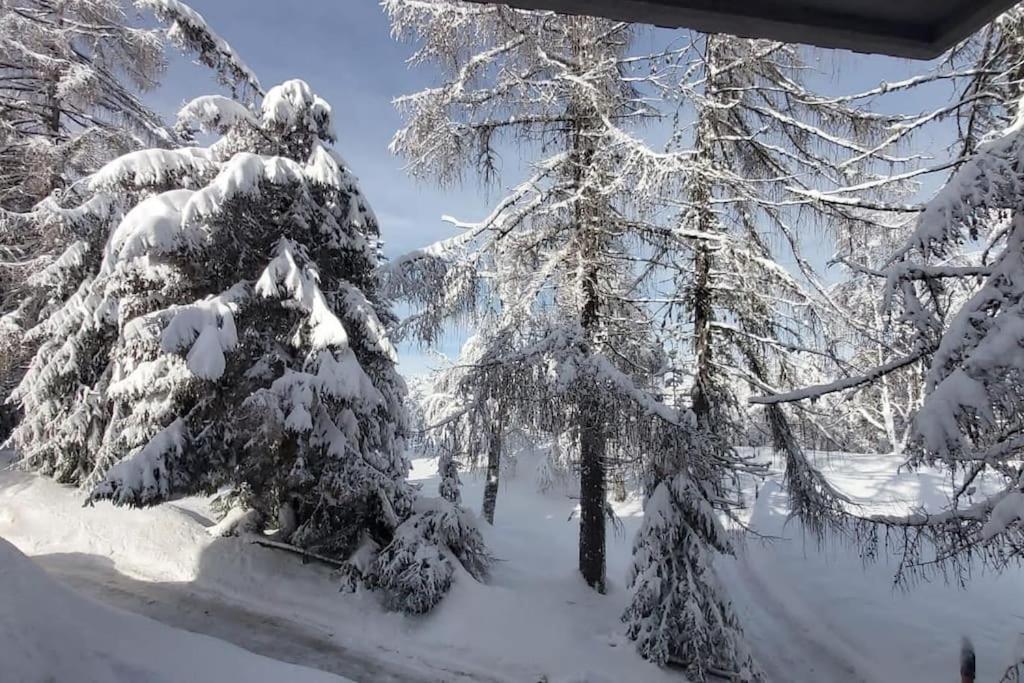 Trento, Monte Bondone, Casa Tipica Di Montagna Apartment Norge Ngoại thất bức ảnh